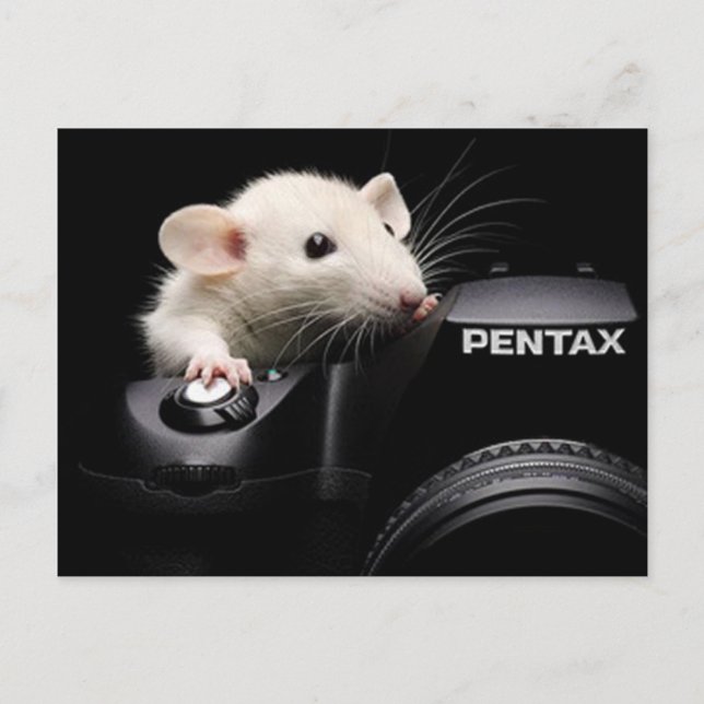 Cartão Postal Diga queijo! (Frente)