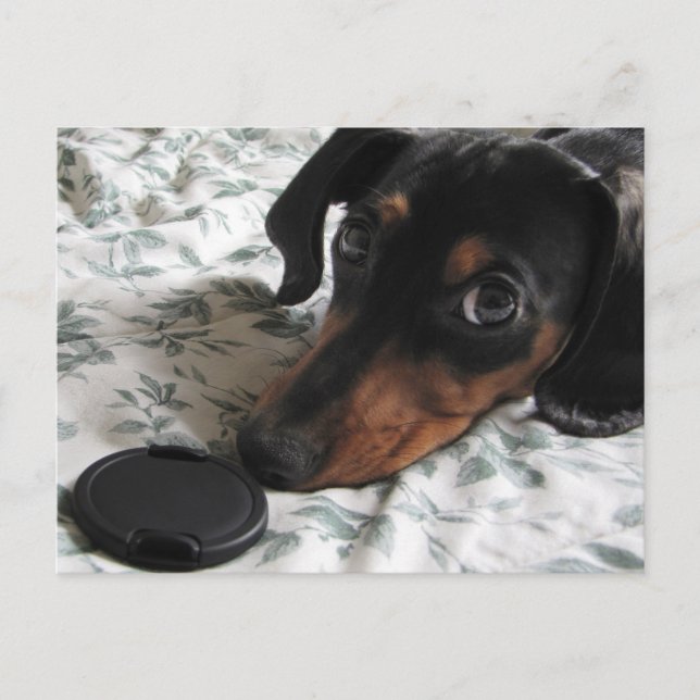 Cartão Postal Digger Strike a Pose (Frente)