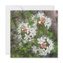 Cartão postal digital