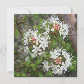 Cartão postal digital