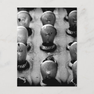 Cartão Postal Dim Lit