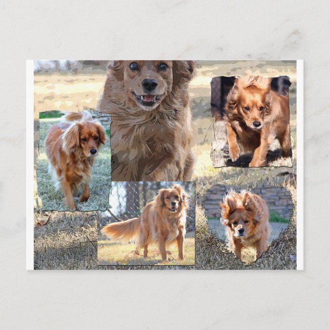 cartão postal dinah (Frente)