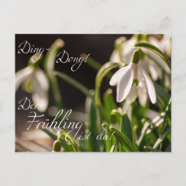 Cartão Postal Ding-Dong! Der Frühling ist da!