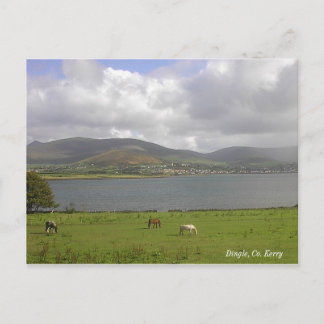 Cartão Postal Dingle Bay, Co. Kerry