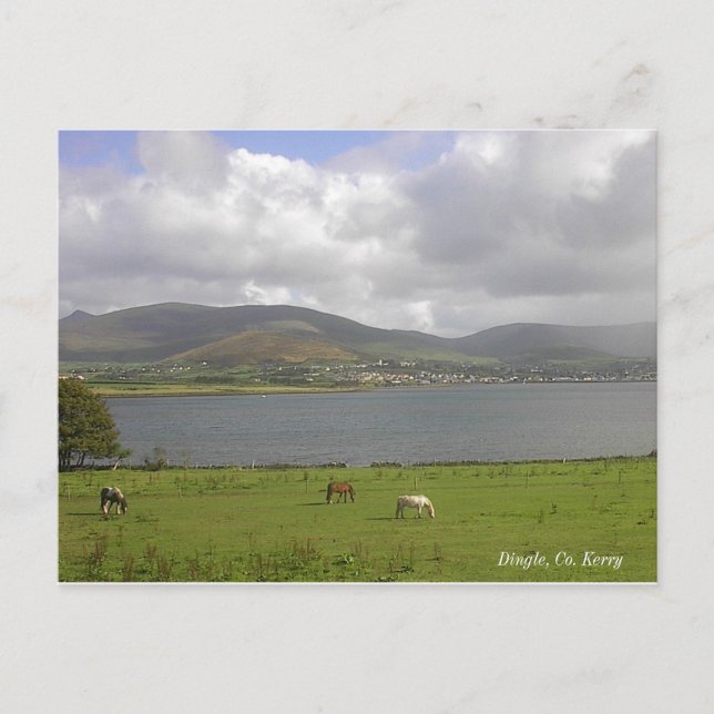 Cartão Postal Dingle Bay, Co. Kerry (Frente)