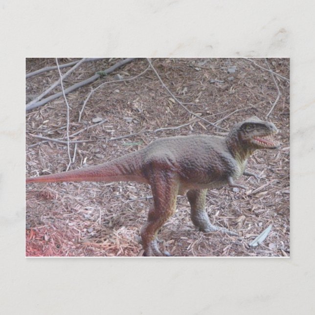 Cartão Postal dinossauro bebê (Frente)