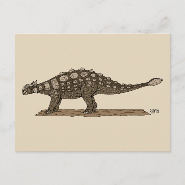 Cartão Postal Dinossauro Cretáceo Ankylosaurus (Frente)