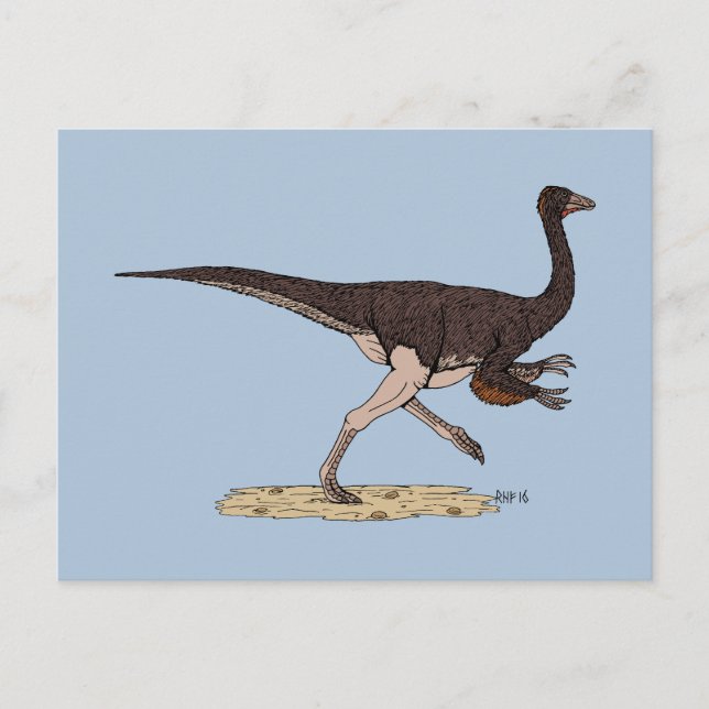 Cartão Postal Dinossauro Cretáceo Ornithomimus (Frente)