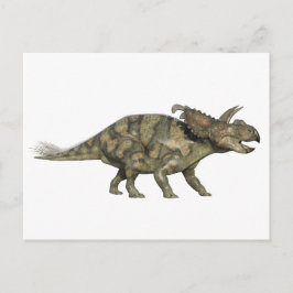 Cartão Postal Dinossauro de Albertaceratops no perfil lateral