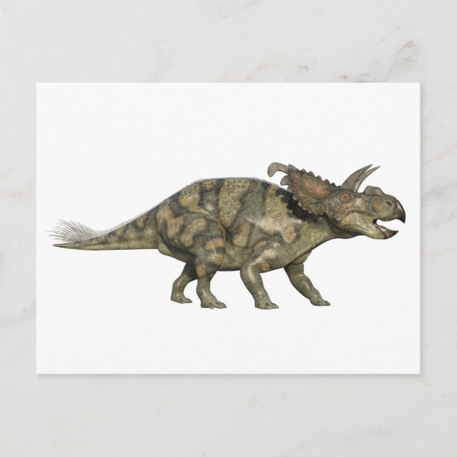Cartão Postal Dinossauro de Albertaceratops no perfil lateral (Frente)