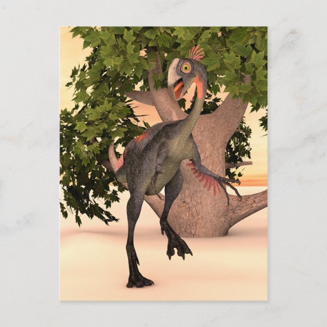 Cartão Postal Dinossauro Gigantoraptor (Frente)