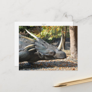 cartão postal _ dinossauro _ triceratops