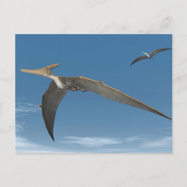 Cartão Postal Dinossauros Pteranodon voando - renderização 3D (Frente)