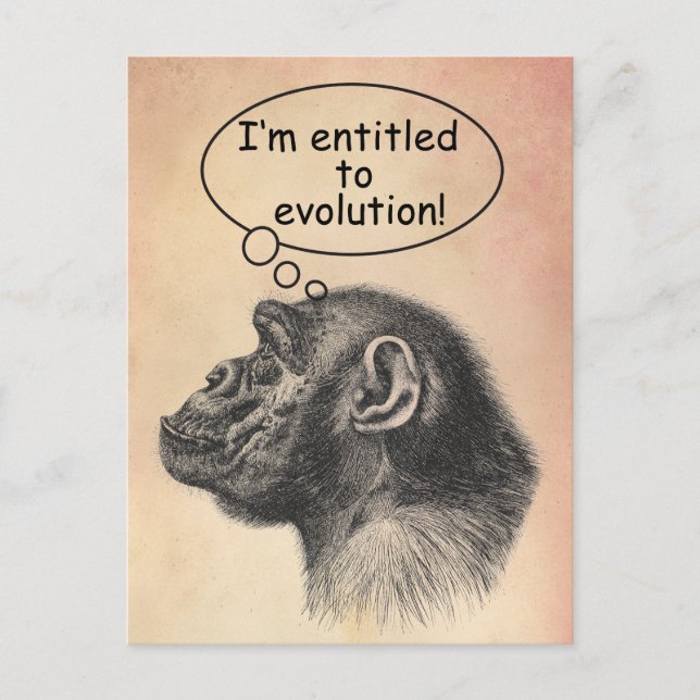 Cartão Postal Direito à Evolução Ape do excelente (Frente)