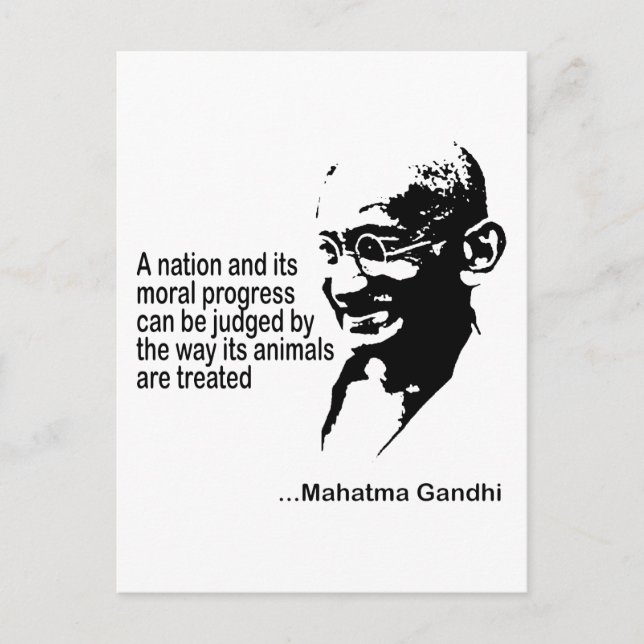 Cartão Postal Direitos dos animais (Frente)