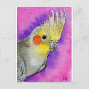 Cartão Postal Disco Cockatiel