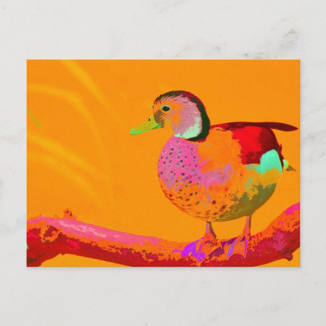 Cartão Postal Disco Duck (Frente)