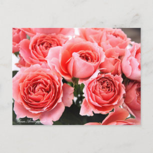 Cartão Postal Disposição de rosas:Cartão postal