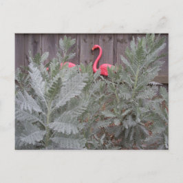 Cartão Postal Disposição em Cinzas e cor-de-rosa