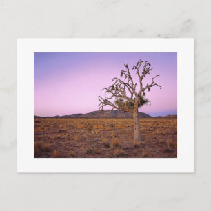 Cartão Postal " Dissipador de Forma Fantasma "