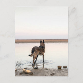 Cartão Postal distante