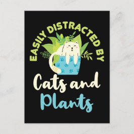 Cartão Postal Distraído facilmente por gatos e plantas de gata