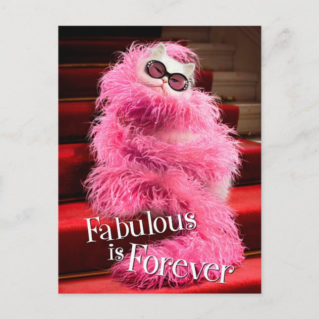 Cartão Postal Diva White Cat Embrulhada em Boa Rosa no tapete ve (Frente)