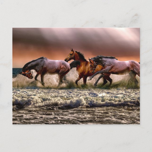 Cartão Postal Diversão À Tarde No Surf (Frente)