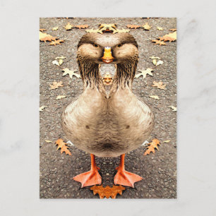 CARTÃO POSTAL DIVERSÃO ANIMAL