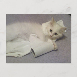 Cartão Postal diversão com papel higiênico