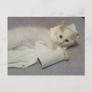 Cartão Postal diversão com papel higiênico
