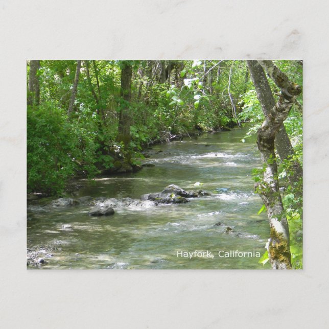 Cartão Postal Diversão de Verão... (Frente)