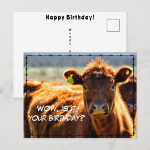 Cartão Postal Divertido Aniversário Fazenda Rural Correspondênci