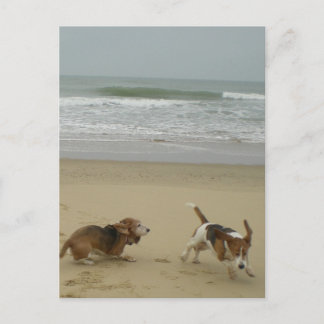 Cartão Postal Divertido na praia