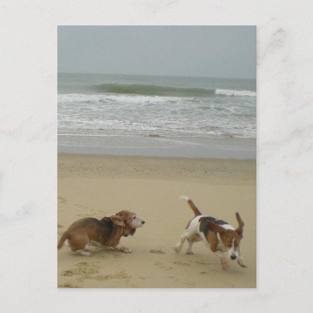 Cartão Postal Divertido na praia (Frente)