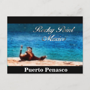 Cartão Postal Divertido No Sol