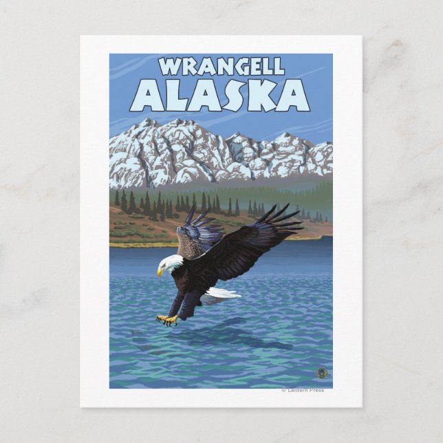 Cartão Postal Diving Bald Eagle - Wrangell, Alaska (Frente)