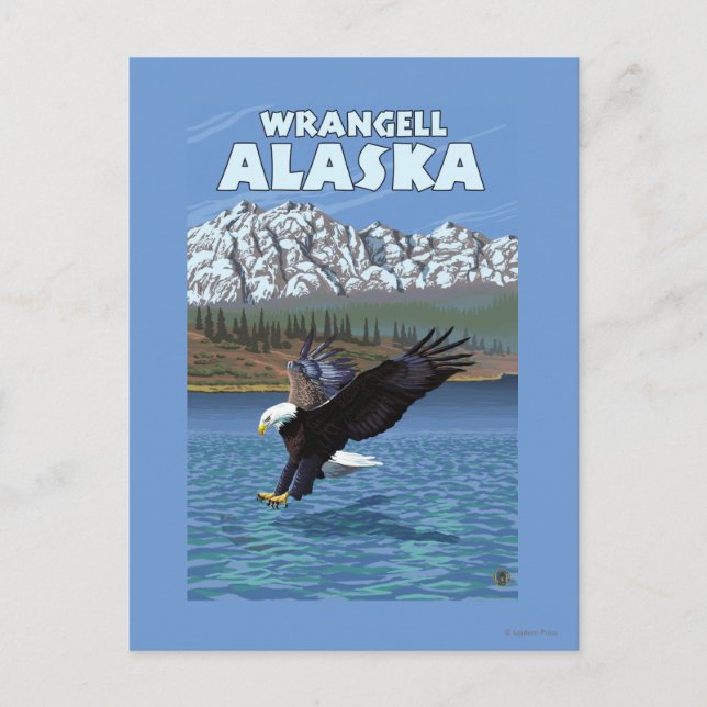 Cartão Postal Diving Bald Eagle - Wrangell, Alaska (Frente)
