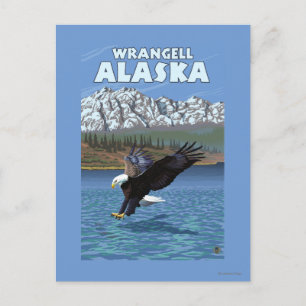 Cartão Postal Diving Bald Eagle - Wrangell, Alaska