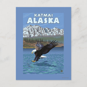 Cartão Postal Divisor Bald Eagle - Katmai, Alaska
