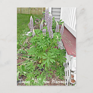 Cartão Postal Dizendo Oi em Wisconsin