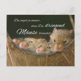 Cartão Postal Dizes sempre, que necessitas ratos urgentes