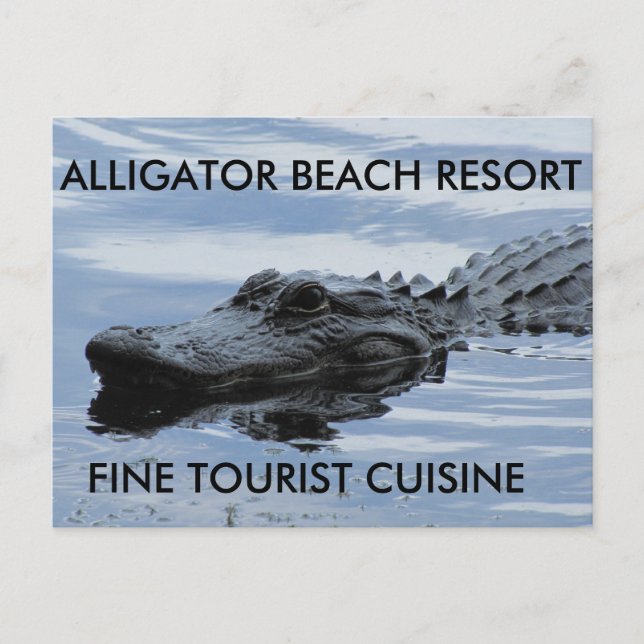 Cartão postal do Alligator Beach Resort (Frente)