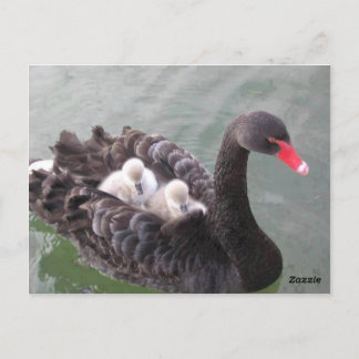 Cartão Postal do Amor das Mães
