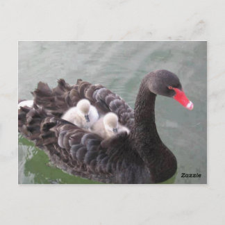 Cartão Postal do Amor de Mãe