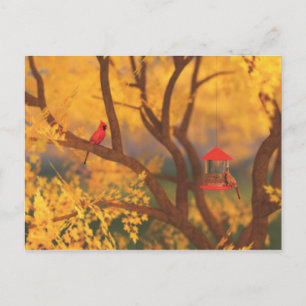 Cartão postal do Autumn Guardian