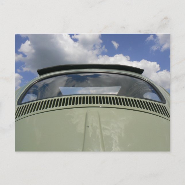 Cartão postal do besouro (Frente)