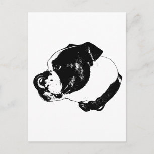 Cartão postal do Bulldog Bold