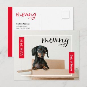 Cartão Postal do Cachorro Dachshund Vermelho se Mu