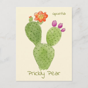 Cartão postal do cacto Prickly Pear